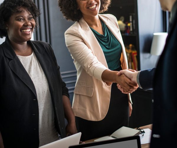 business-partners-shaking-hands-agreement business-partners-shaking-hands-agreement